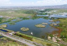 Regreso al proyecto Texcoco, ¿por qué no?