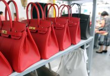 💥 ¡Elegancia que trasciende el tiempo! Las mejores carteras para mujer del mundo en 2025