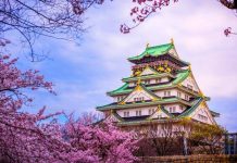 🍽️🌍 Capitales del sabor: los destinos culinarios que están redefiniendo la gastronomía mundial en 2026