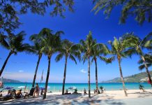 🏖️🏙️ ¿Playa o ciudad? La decisión que define tu viaje (y lo que realmente dice de tu personalidad en 2026)