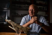 Encuentro en Perú: piloto militar reporta objeto imposible durante misión