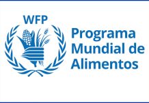 Aviones contra el hambre: la gigantesca operación aérea del Programa Mundial de Alimentos para llegar a las zonas más aisladas del planeta